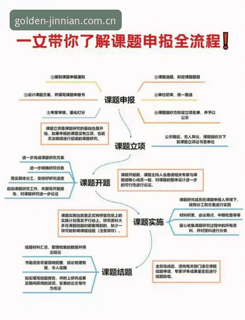 金年会体育平台入口详解：从官网访问到APP下载全流程指南